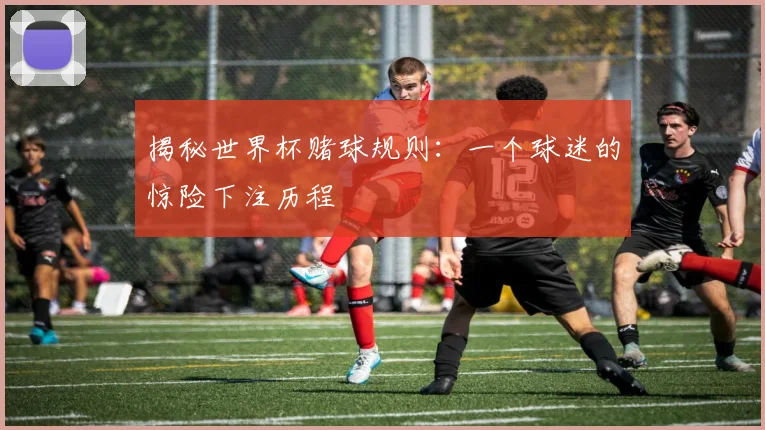 揭秘世界杯赌球规则：一个球迷的惊险下注历程