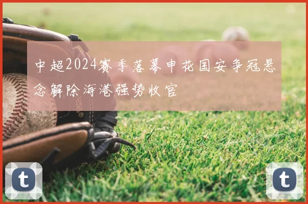 中超2024赛季落幕申花国安争冠悬念解除海港强势收官