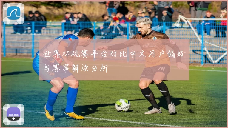 世界杯观赛平台对比中文用户偏好与赛事解读分析