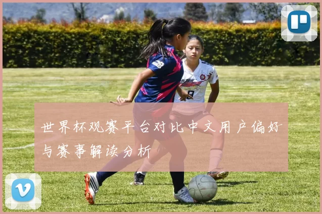 世界杯观赛平台对比中文用户偏好与赛事解读分析