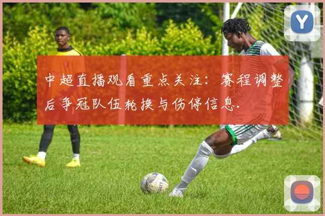 中超直播观看重点关注:赛程调整后争冠队伍轮换与伤停信息.