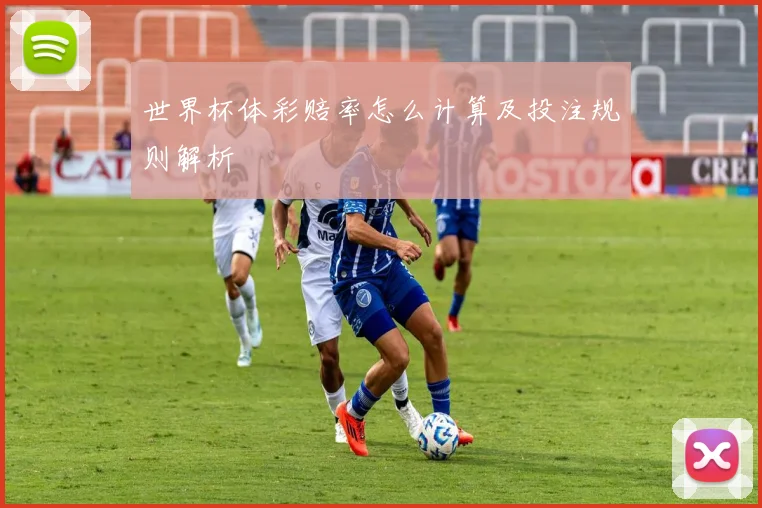 世界杯体彩赔率怎么计算及投注规则解析