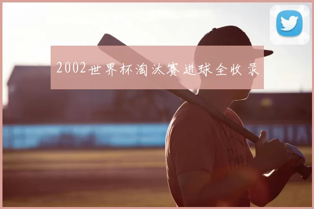 2002世界杯淘汰赛进球全收录