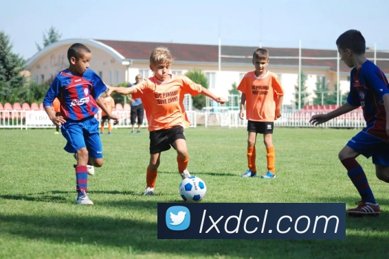 9游官网入口平台生态图